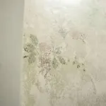 Cucchiari 7c *