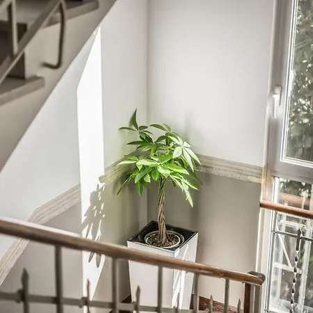 Apartmán Cucchiari 7c *
